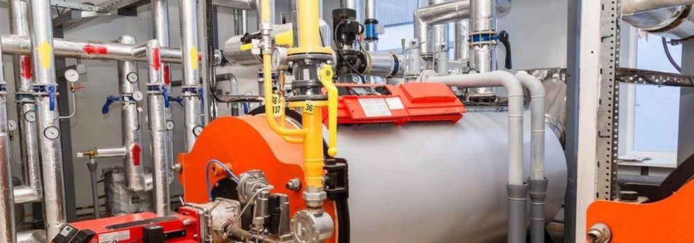 Slide of True Blue Plumbing