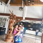 Blue Coral Beach Resort