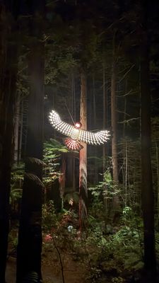 Redwoods Treewalk by null