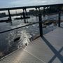 Photo of The Trail of  James River Park