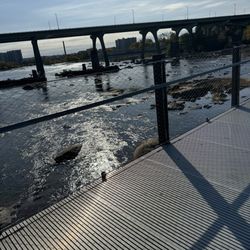 The Trail of  James River Park
