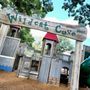 Photo of Wildcat Cove Playground