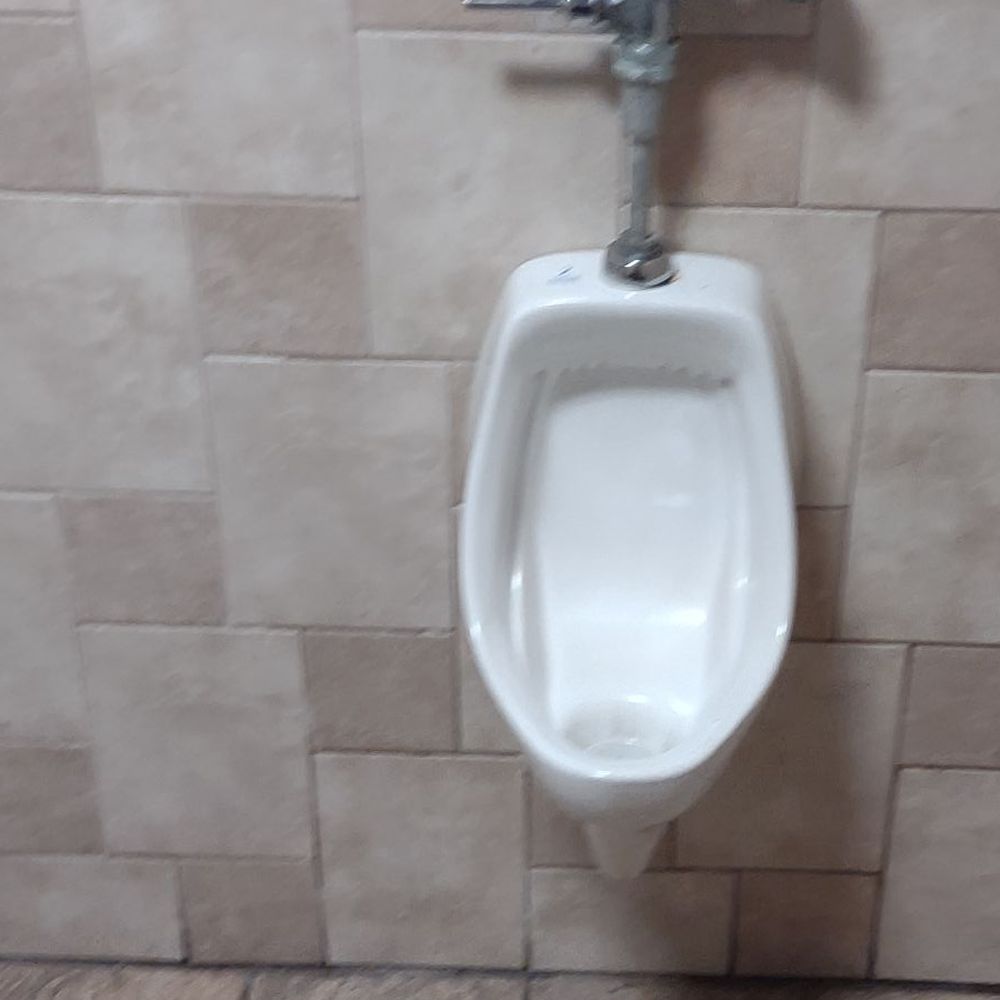 Kyoto Japanese Cusine - Toilet - Japanese Near Me - Augusta, Georgia Kyoto Japanese Cusine - Toilet - Japanese Near Me - Augusta, Georgia