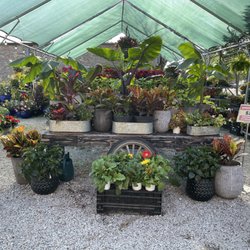 Christy Webber Farm & Garden Center
