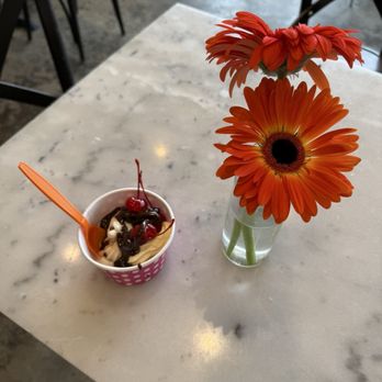 Sweetspot Yogurt - My choice and yes I got Hot Fudge as a topping with cherries. - Ice Cream & Frozen Yogurt Near Me - Longview, Washington
