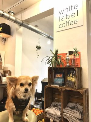 white label coffee by null