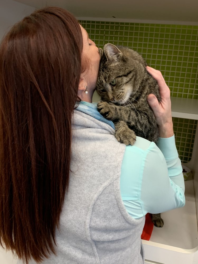 COLONY CATS AND DOGS 30 Photos & 57 Reviews 2740 Festival Center Ln