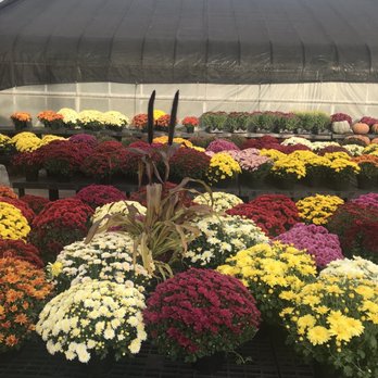 Ott's Exotic Plants - Nurseries & Gardening Near Me - Schwenksville, Pennsylvania Ott's Exotic Plants - Nurseries & Gardening Near Me - Schwenksville, Pennsylvania