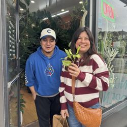 Chica Plant Shop