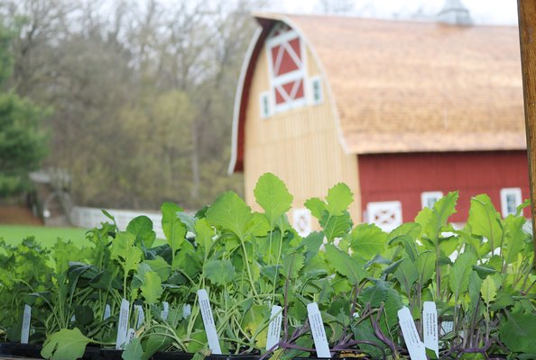Seed Savers Exchange by null
