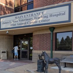 Heavenly Puppies - Actual University of Colorado Veterinary Hospital also teaching school. Fort Collins Colorado.