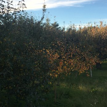 Clendenen's Cider Works - Cideries Near Me - Fortuna, California