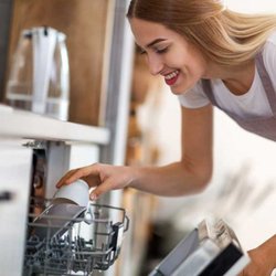 DC Appliance Repairs
