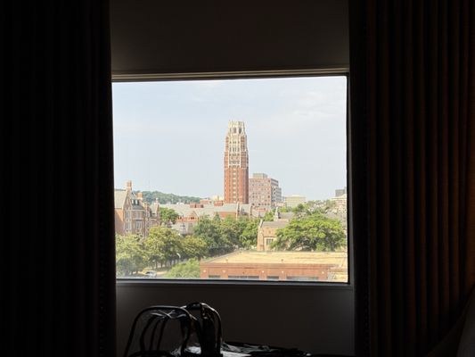 Loews Vanderbilt Plaza by null
