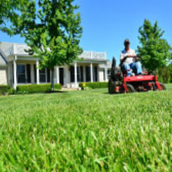 GardenHelp - Garden Help, Landscaping, Carlow