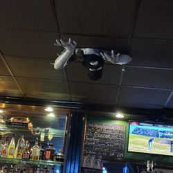 Ceiling interloper