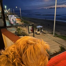 Tierra Roja - Puppy enjoying the view