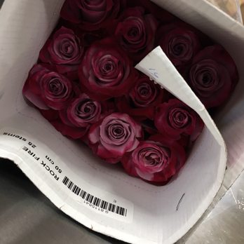 Miami Flower Market - Florists Near Me - Miami, Florida Miami Flower Market - Florists Near Me - Miami, Florida