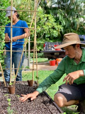 Ready-to-Grow Gardens by null