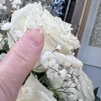 Griffin's Floral Design - First day, browning on the tips - Florists Near Me - New Albany, Ohio