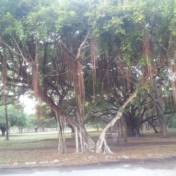 Greynolds Park - Parks Near Me - North Miami Beach, Florida Greynolds Park - Parks Near Me - North Miami Beach, Florida