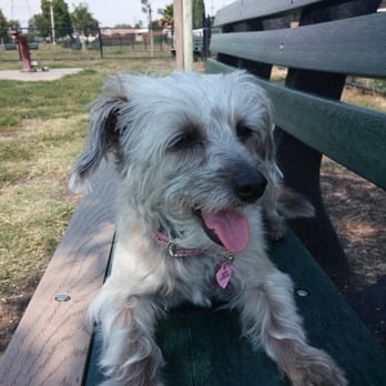 Eden Greenway Dog Park - I just wanna relax....put the camera away! - Dog Parks Near Me - Hayward, California