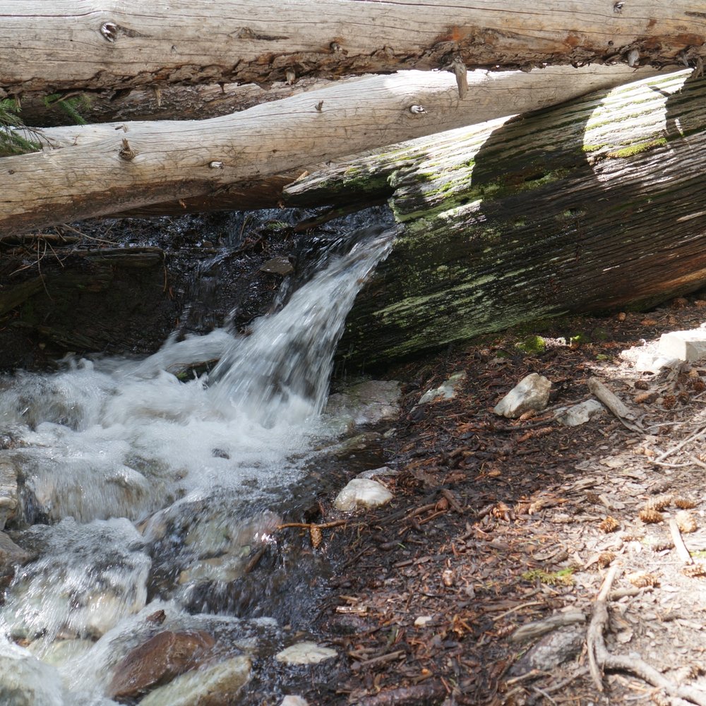 Great Basin National Park - Snowmelt runoff on bristlecone pine trail - Parks Near Me - Baker, Nevada