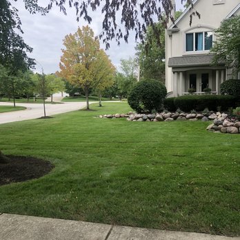 First Class Outdoor Services - Tree Services Near Me - Downers Grove, Illinois First Class Outdoor Services - Tree Services Near Me - Downers Grove, Illinois