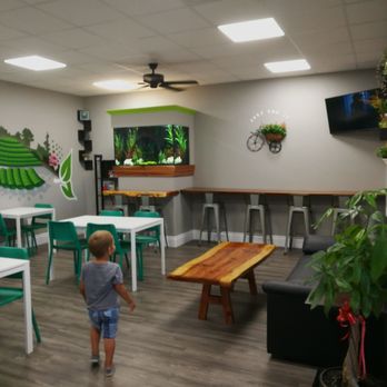 Tea It - Bubble Tea Near Me - Citrus Heights, California Tea It - Bubble Tea Near Me - Citrus Heights, California