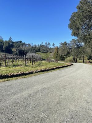 Storybook Mountain Winery by null