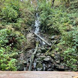 Newell Creek Canyon Nature Park - Newell Creek Canyon - the falls