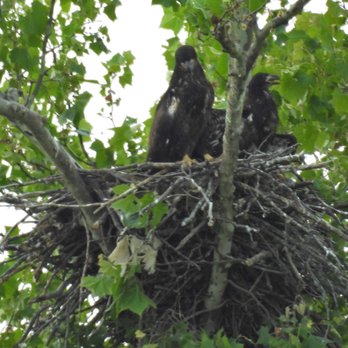 Wild Birds Unlimited - Bird Shops Near Me - Cincinnati, Ohio Wild Birds Unlimited - Bird Shops Near Me - Cincinnati, Ohio