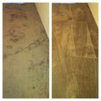 New Life Carpet Care - Puppy pet stains on left. After on right. - Carpet Cleaning Near Me - Oakland, California New Life Carpet Care - Puppy pet stains on left. After on right. - Carpet Cleaning Near Me - Oakland, California