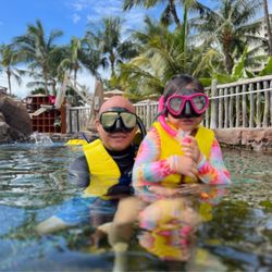 Scuba Choice - Masks l, fins, and snorkels from Scuba choice.