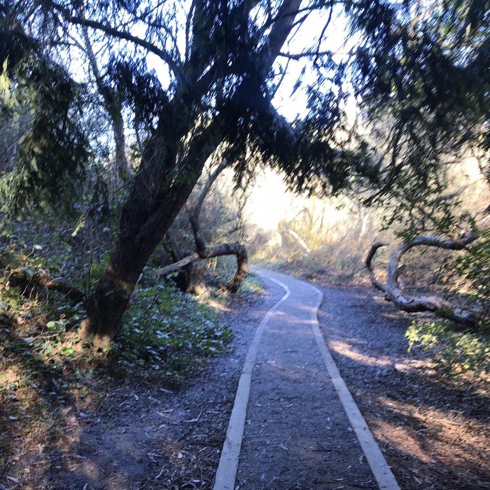 Glen Canyon Park - Beautiful shaded trails - Parks Near Me - San Francisco, California Glen Canyon Park - Beautiful shaded trails - Parks Near Me - San Francisco, California