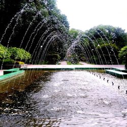 Park Miejski