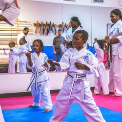 Bushiken Karate Saint-Cyr Dojo - Classes starting from ages 3-adult