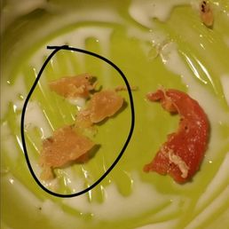 Just adding!! The chicken circled in black is what they brought back to me insisting it was an onion. Just adding!! The chicken circled in black is what they brought back to me insisting it was an onion.