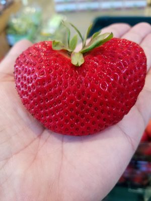 Whole Foods Market by null