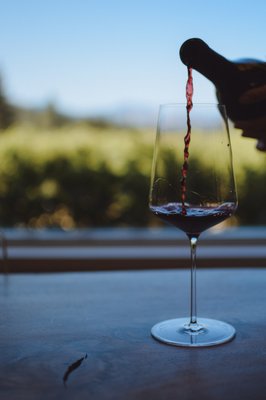 Cowhorn Vineyard & Garden by null