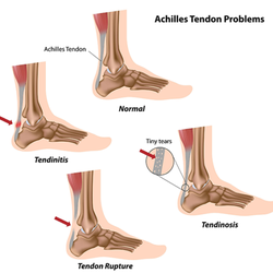 River Podiatry