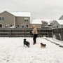 Photo of Pulaski County Humane Society