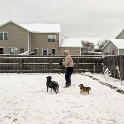 Pulaski County Humane Society - Enjoying the snow in upstate NY.