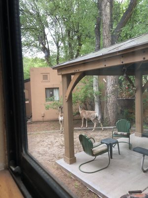 Town N Country Cottages 123 Crystal Park Rd Manitou Springs Co