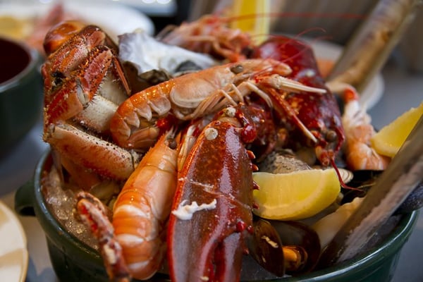 Lochleven Seafood Café by null