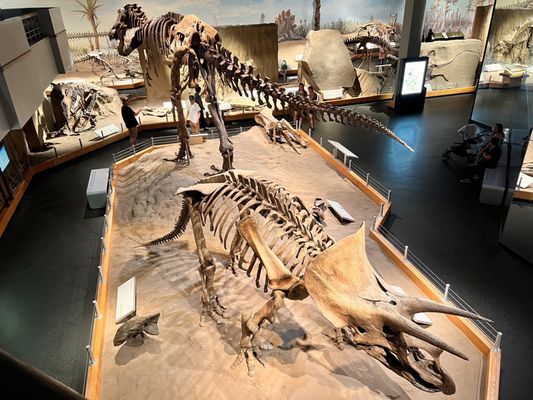 Royal Tyrrell Museum by null