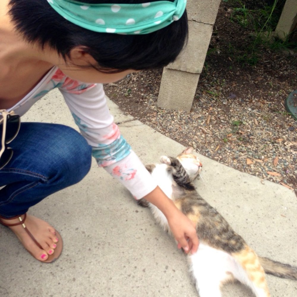Brita's Old Town Garden - Loves being pet! - Nurseries & Gardening Near Me - Seal Beach, California Brita's Old Town Garden - Loves being pet! - Nurseries & Gardening Near Me - Seal Beach, California