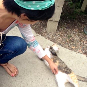 Brita's Old Town Garden - Loves being pet! - Nurseries & Gardening Near Me - Seal Beach, California Brita's Old Town Garden - Loves being pet! - Nurseries & Gardening Near Me - Seal Beach, California