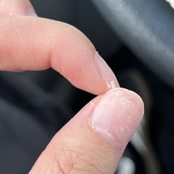 Prestige Nails