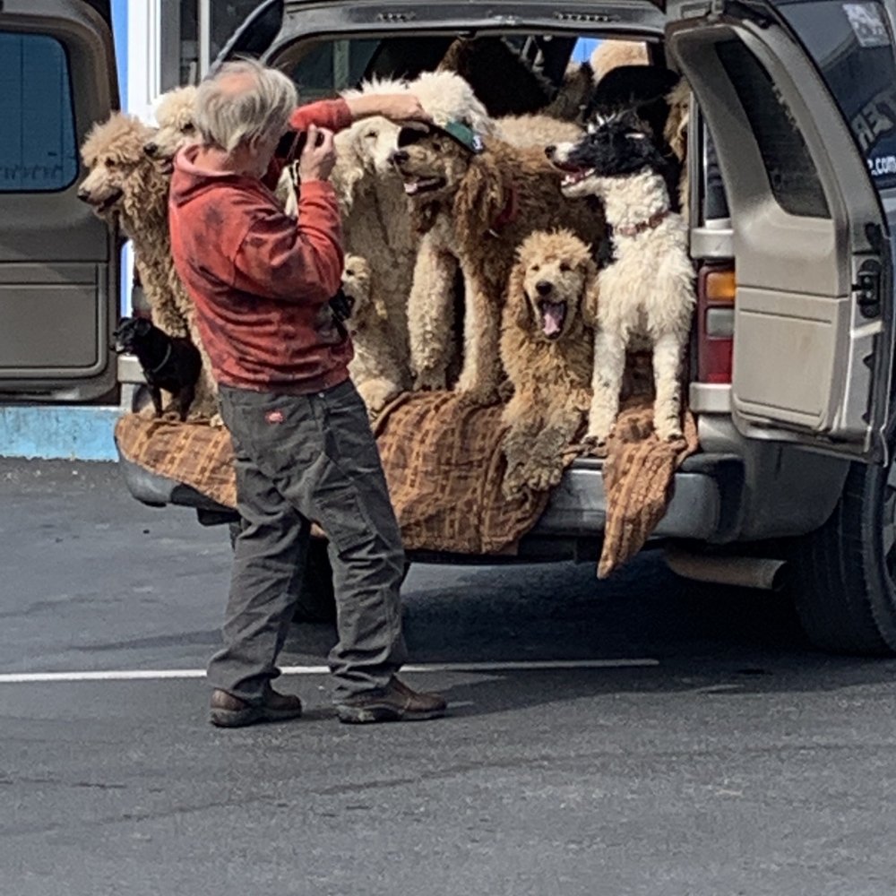 Saw this at the Harbour, when I was done Kayak Fishing !! Dog  gone fun!!